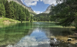 012 - lai da palpuegna 1918